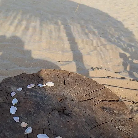 アパート Arena I By The Sea